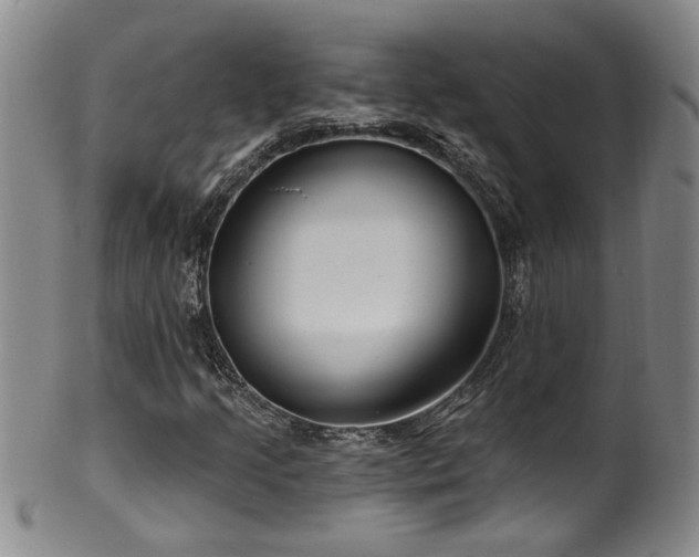 X0000100361205200806061130