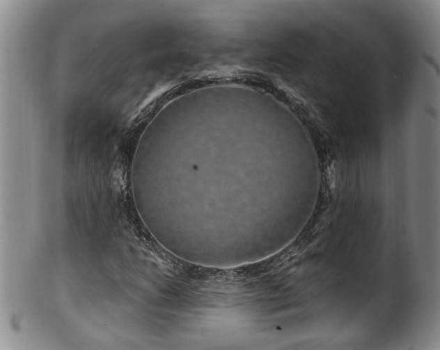 X0000100361206200806061130