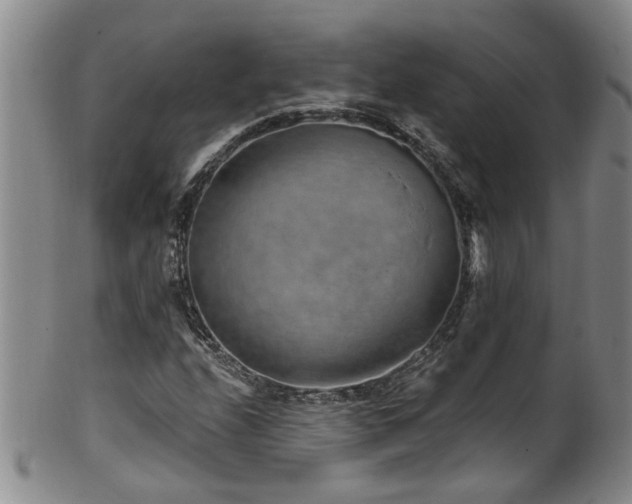 X0000100361208200806061130