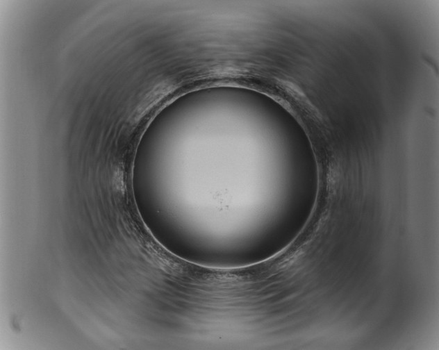 X0000100361209200806061130