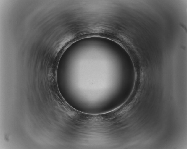 X0000100361210200806061130