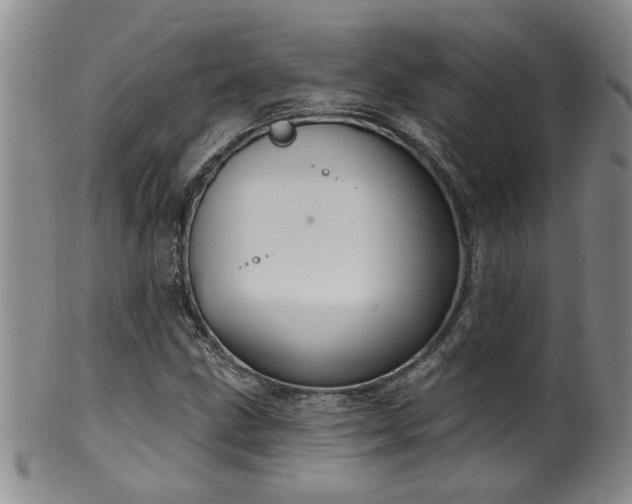 X0000100361211200806061130