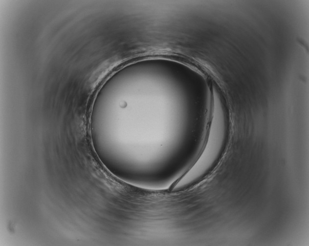 X0000100361212200806061130