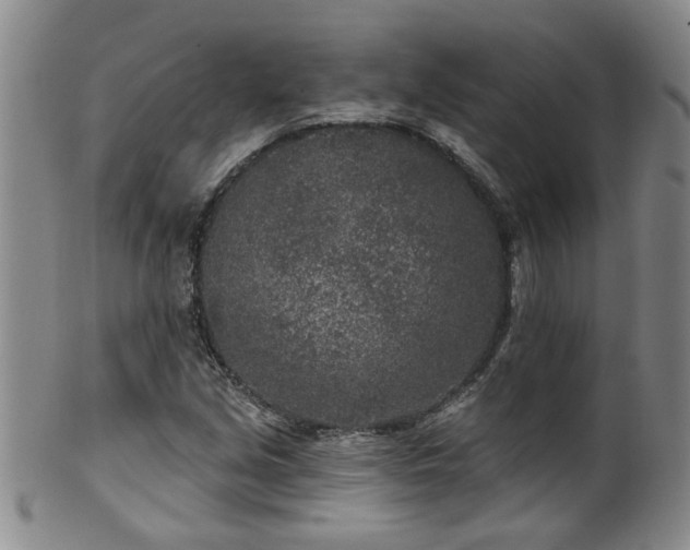 X0000100361213200806061130