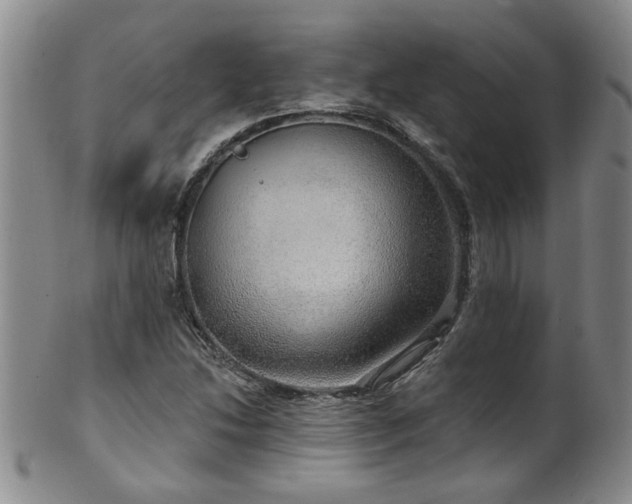 X0000100361214200806061130