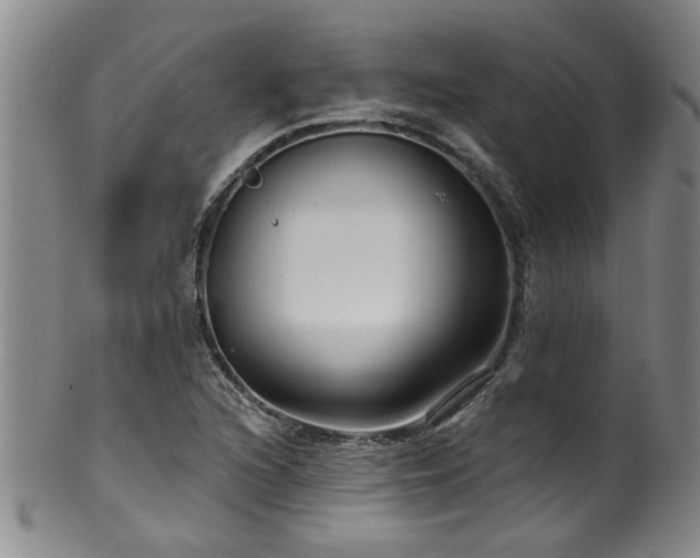 X0000100361216200806061130