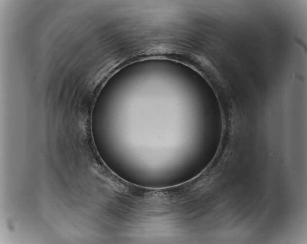 X0000100361217200806061130