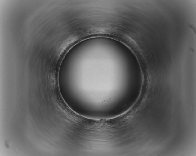 X0000100361218200806061130