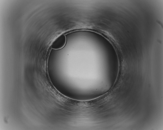 X0000100361220200806061130