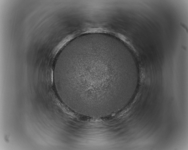 X0000100361221200806061130