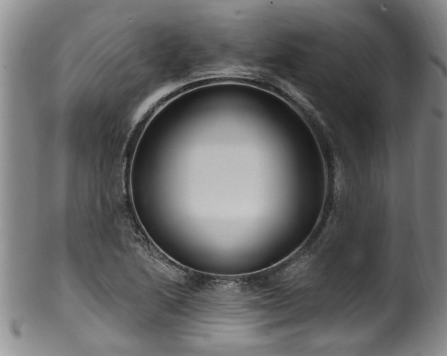 X0000100361222200806061130
