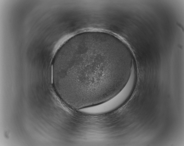X0000100361223200806061130