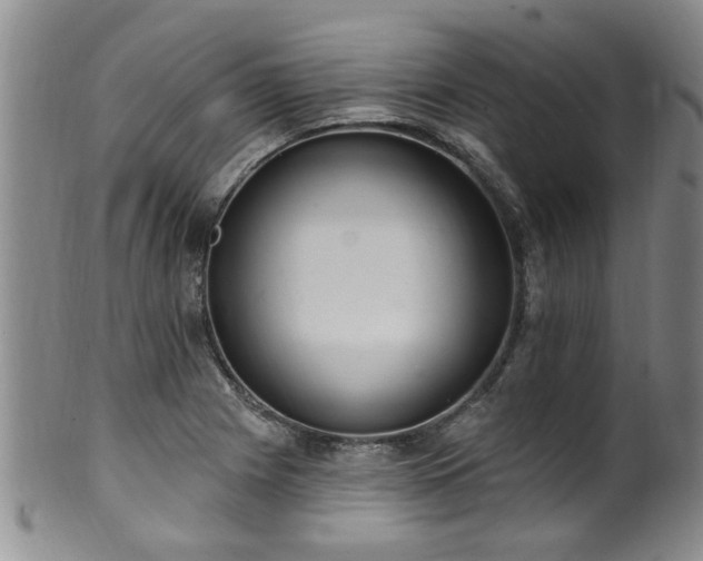 X0000100361225200806061130
