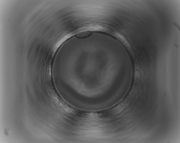 X0000100361226200806061130