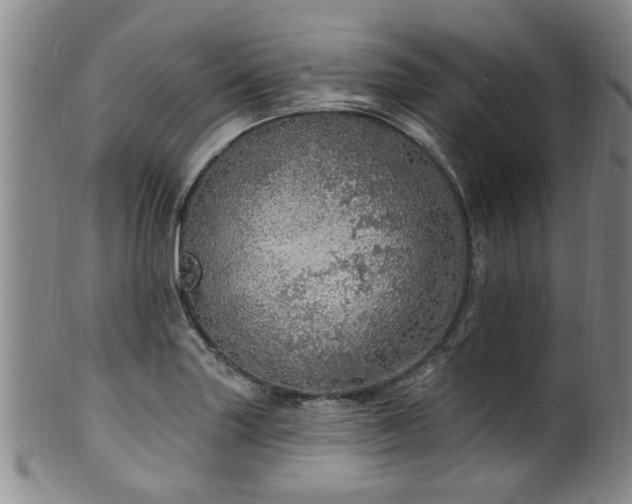 X0000100361227200806061130