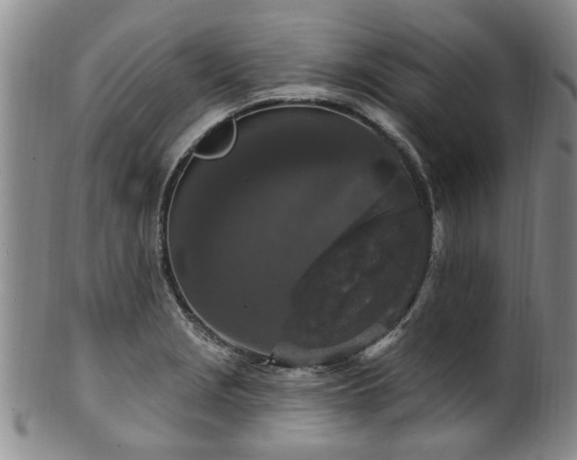 X0000100361229200806061130