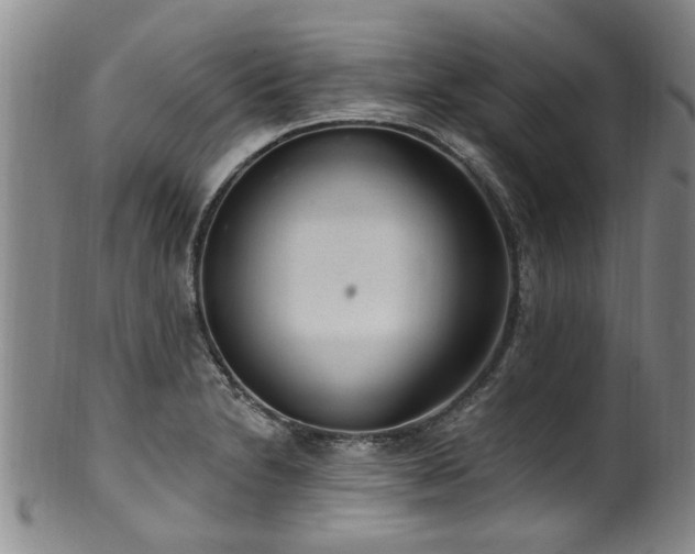 X0000100361230200806061130