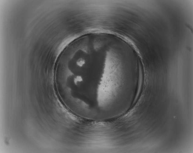 X0000100361231200806061130
