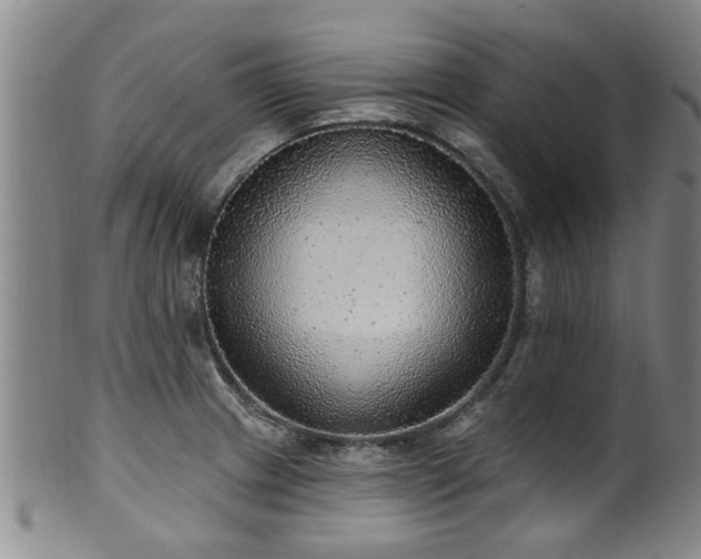 X0000100361233200806061130