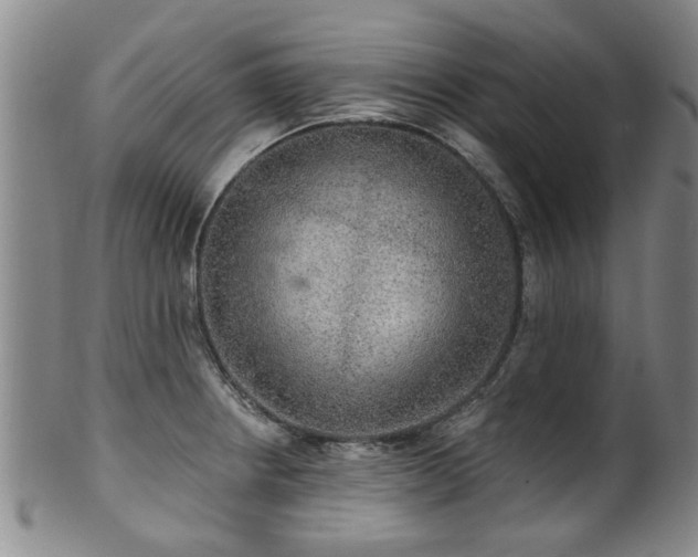 X0000100361234200806061130