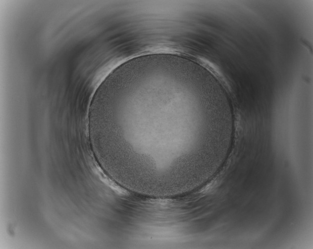 X0000100361236200806061130