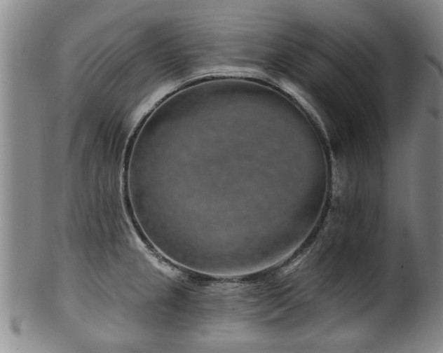 X0000100361237200806061130