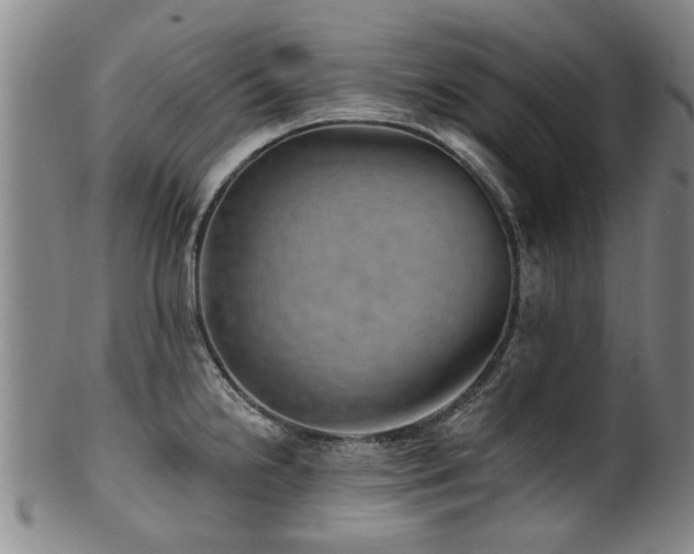 X0000100361238200806061130