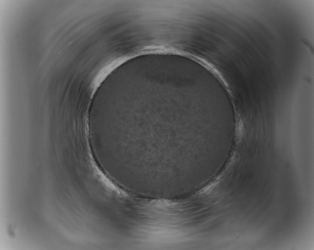 X0000100361239200806061130