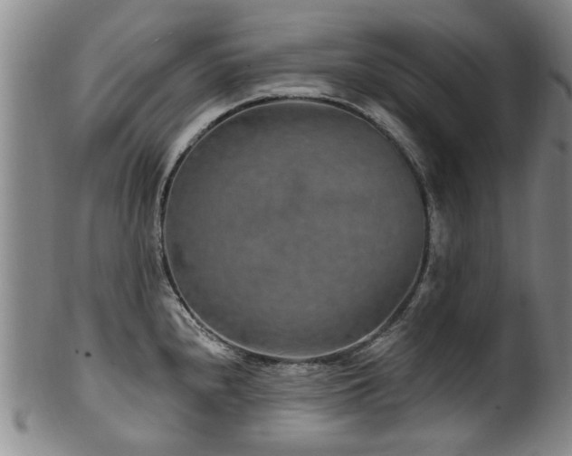 X0000100361240200806061130
