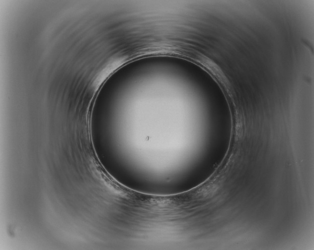 X0000100361242200806061130