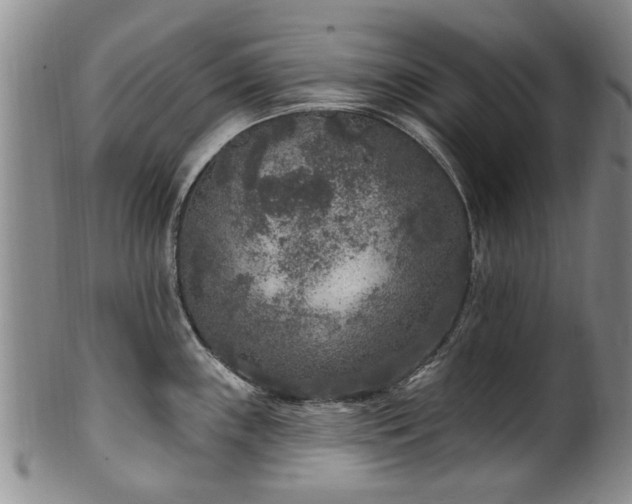X0000100361243200806061130