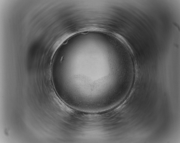 X0000100361244200806061130