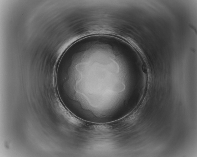 X0000100361246200806061130