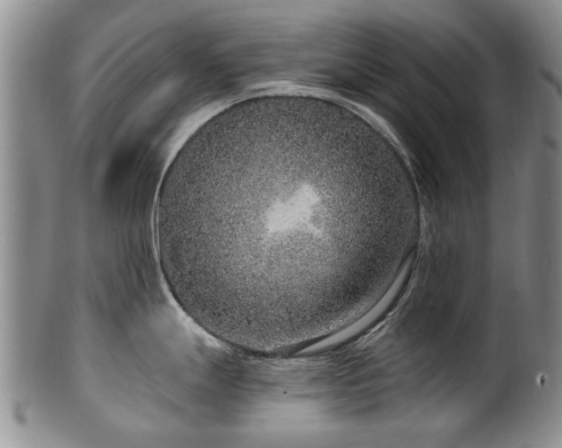 X0000100361247200806061131