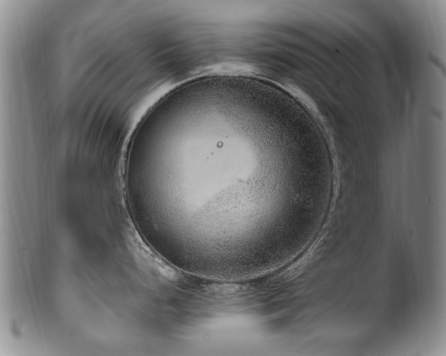 X0000100361248200806061131