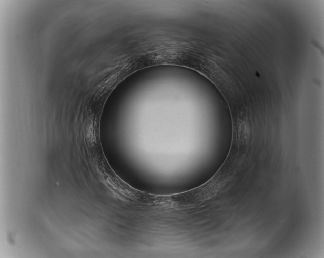 X0000100361250200806061130