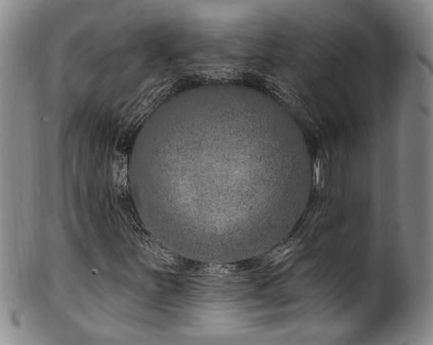 X0000100361251200806061130
