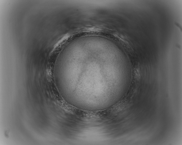 X0000100361254200806061130