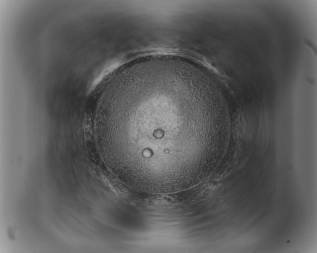 X0000100361255200806061130