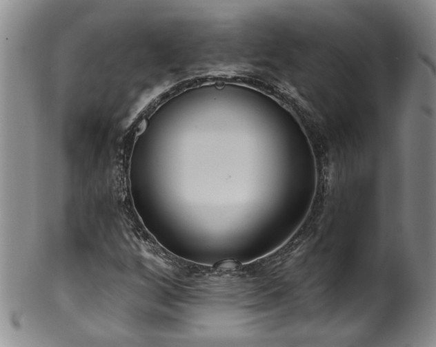 X0000100361256200806061130