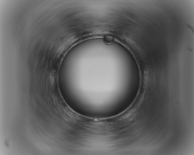 X0000100361257200806061130