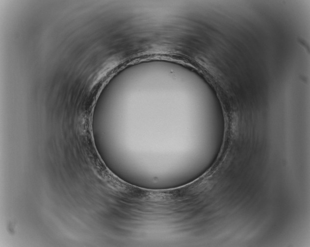 X0000100361258200806061130