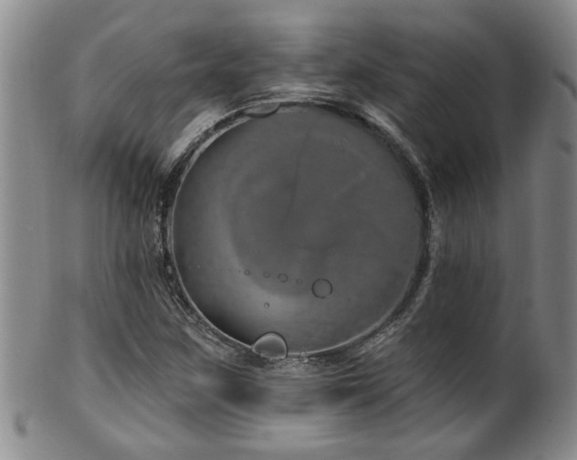 X0000100361259200806061130