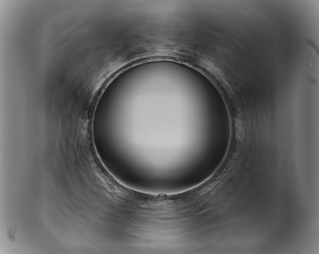 X0000100361260200806061130