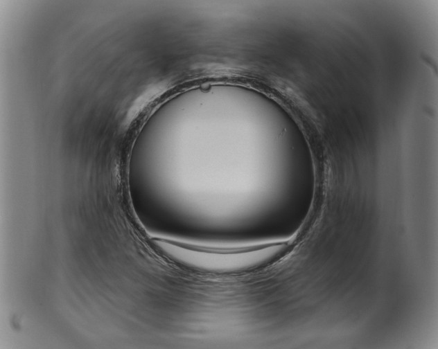 X0000100361261200806061130