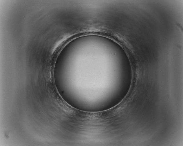 X0000100361262200806061130