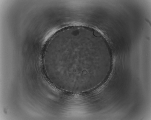 X0000100361263200806061130