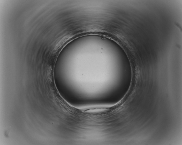 X0000100361265200806061130