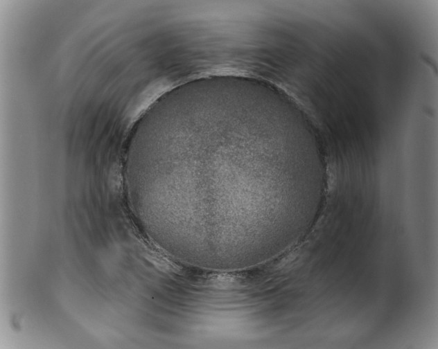 X0000100361266200806061130