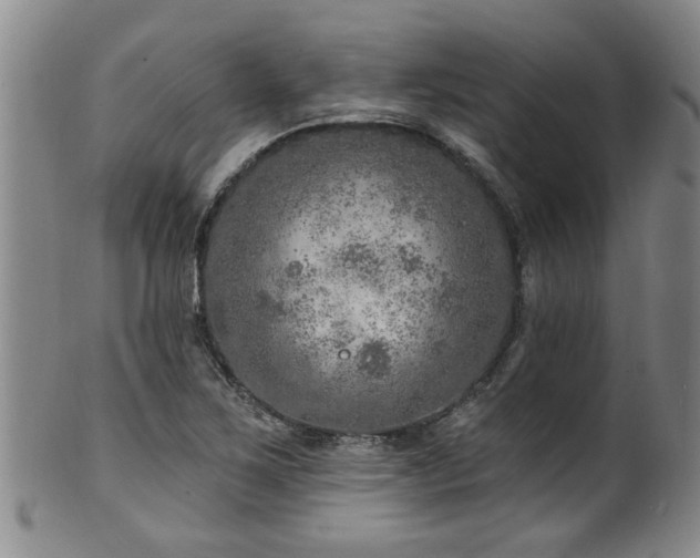 X0000100361267200806061130